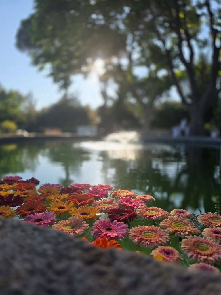 Wedding planner et coordinatrice de mariage en Provence – Sud de la France