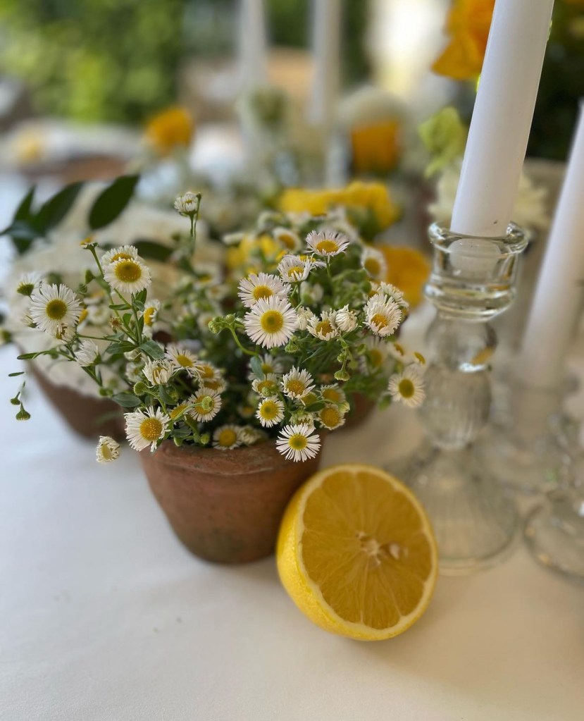 Mariage champêtre chic en Provence – Organisation et décoration